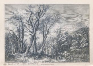 Mount Etna, Sicily, from Il Bosco