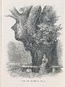 A Humanoid Oak in Richmond Park, London