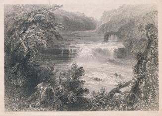 The Salmon Leap at Leixlip, Co Kildare