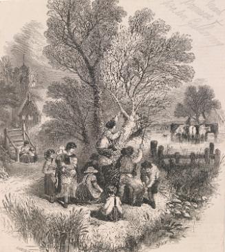 March Primrose and Palm Gathering