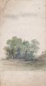 A Copse