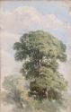 A Tree