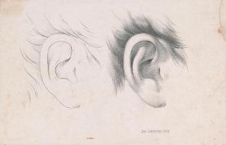 Two Studies of Ears