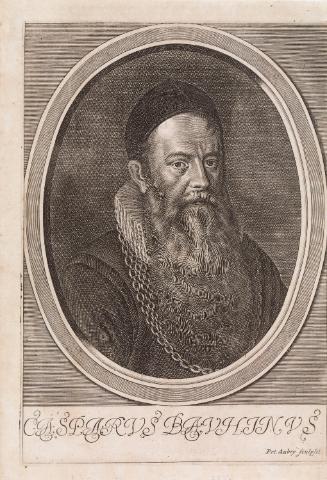 Portrait of Caspar Bauhin (1560-1624), Swiss Botanist