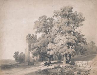 Young Elms near a Tower