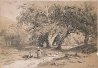 Women gathering firewood