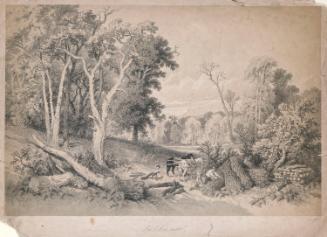 'Le Bois Mort' - Dead wood