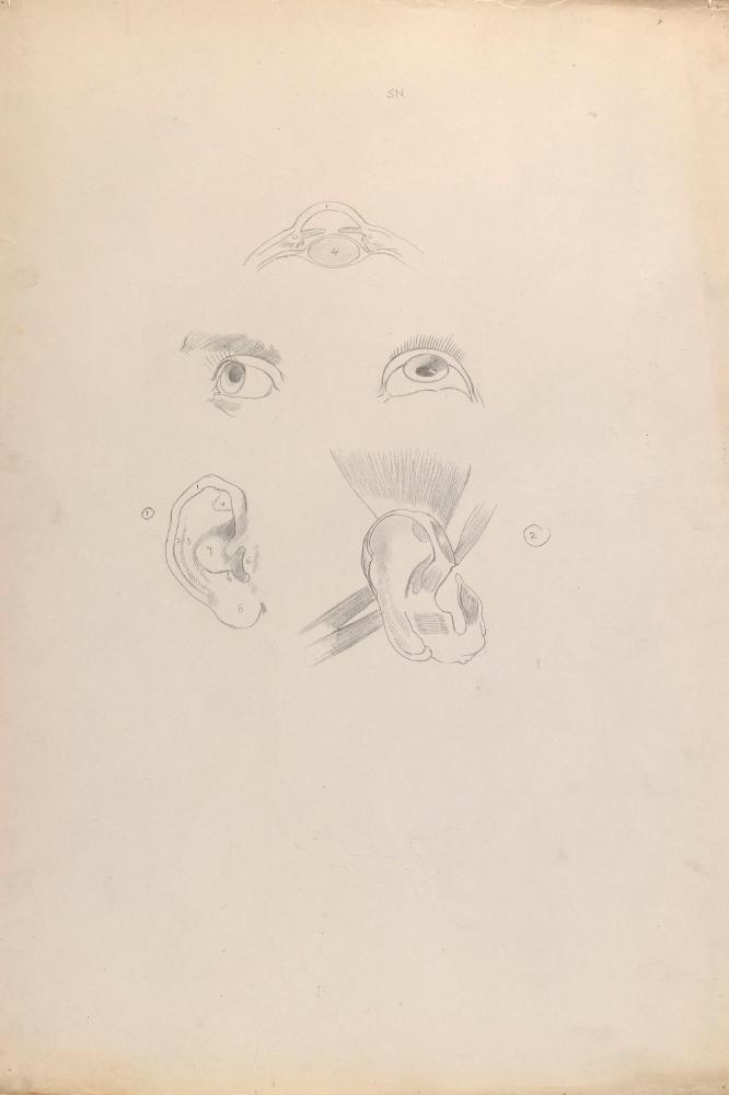 © The Estate of James Sleator