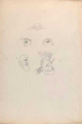 © The Estate of James Sleator