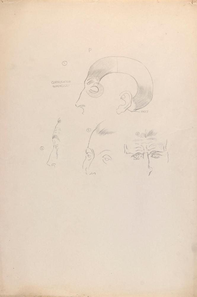 © The Estate of James Sleator