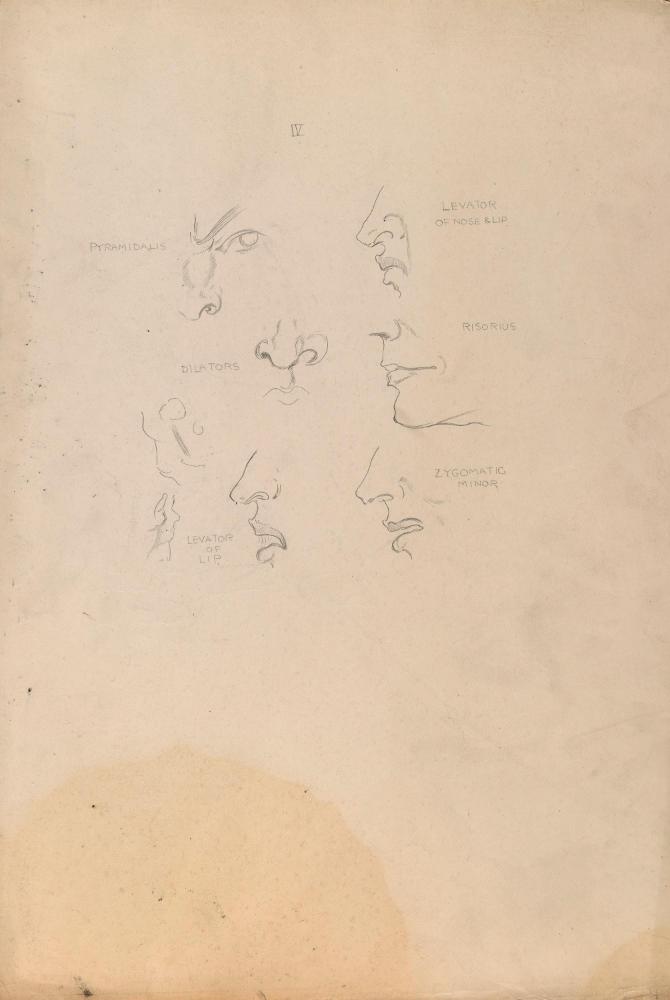 © The Estate of James Sleator