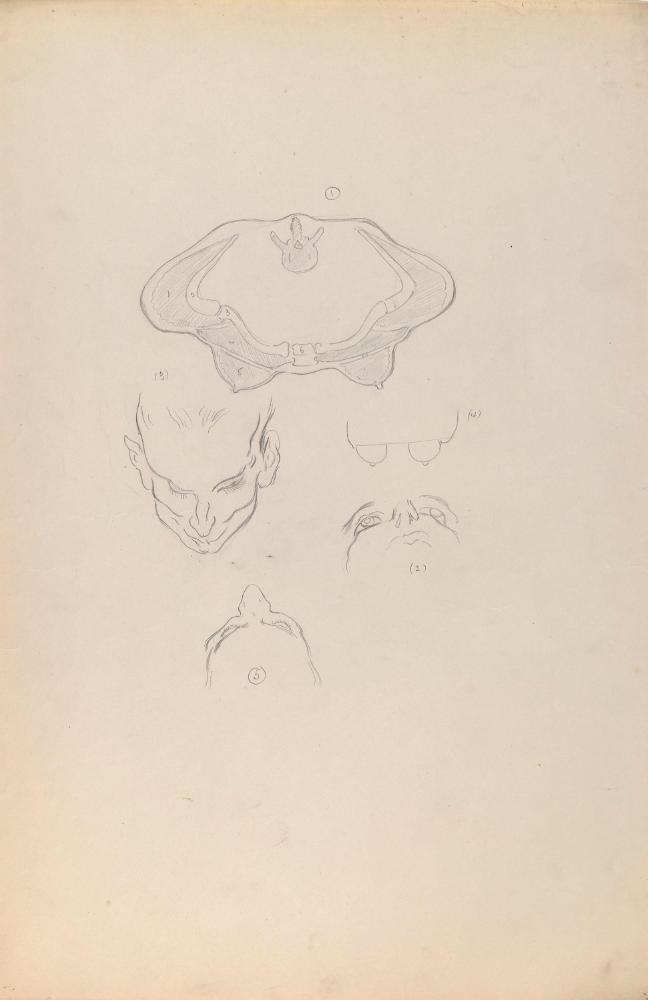 © The Estate of James Sleator