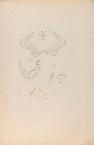 © The Estate of James Sleator