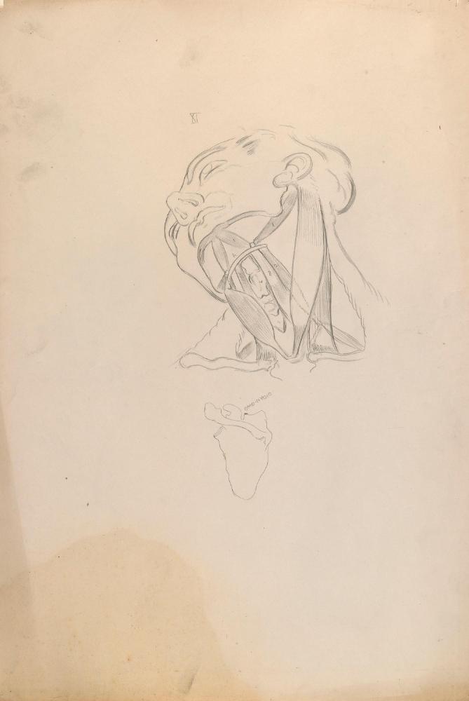 © The Estate of James Sleator