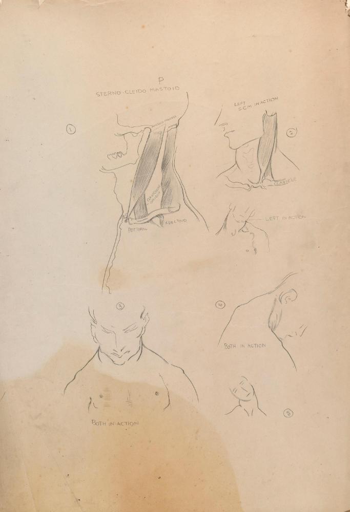 © The Estate of James Sleator