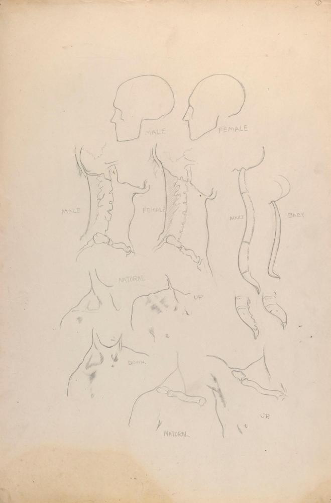 © The Estate of James Sleator