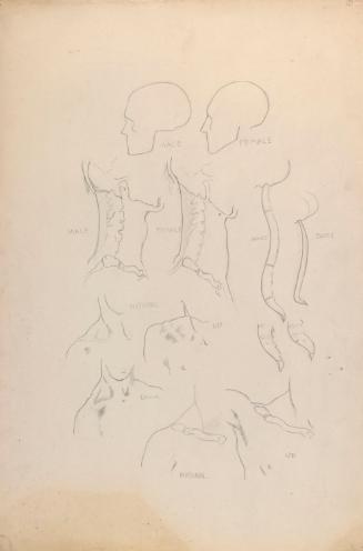 © The Estate of James Sleator