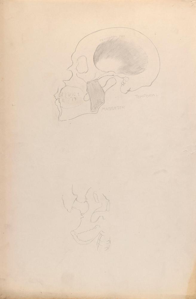 © The Estate of James Sleator