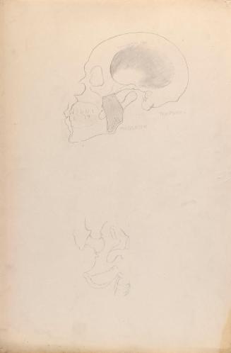 © The Estate of James Sleator