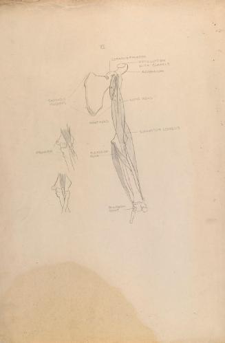 © The Estate of James Sleator