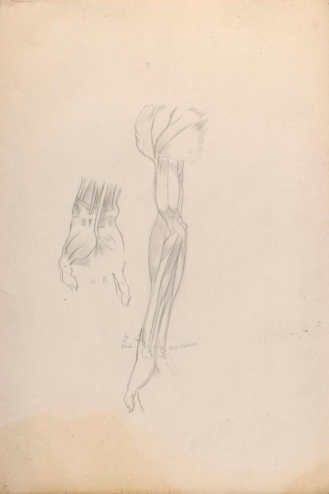 © The Estate of James Sleator