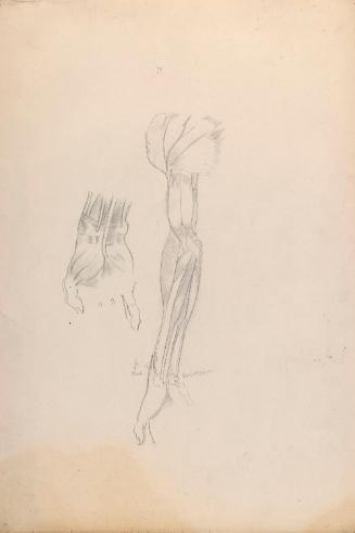 © The Estate of James Sleator