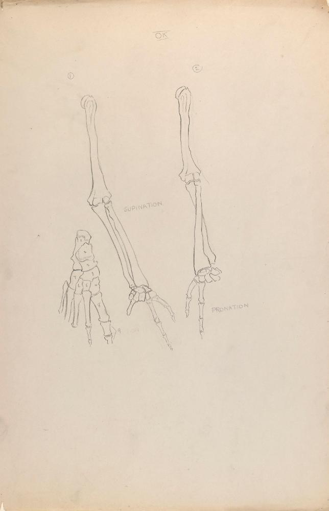 © The Estate of James Sleator