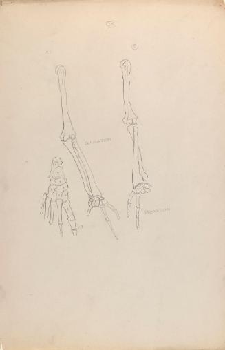 © The Estate of James Sleator