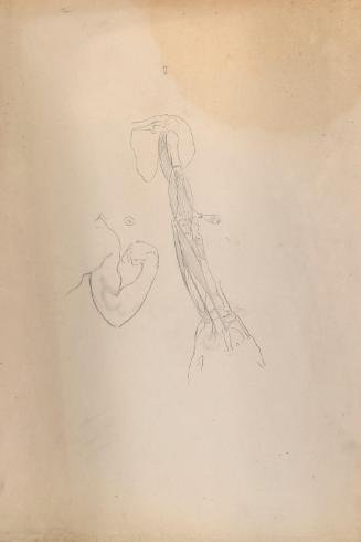 © The Estate of James Sleator