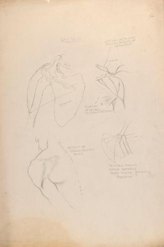 © The Estate of James Sleator