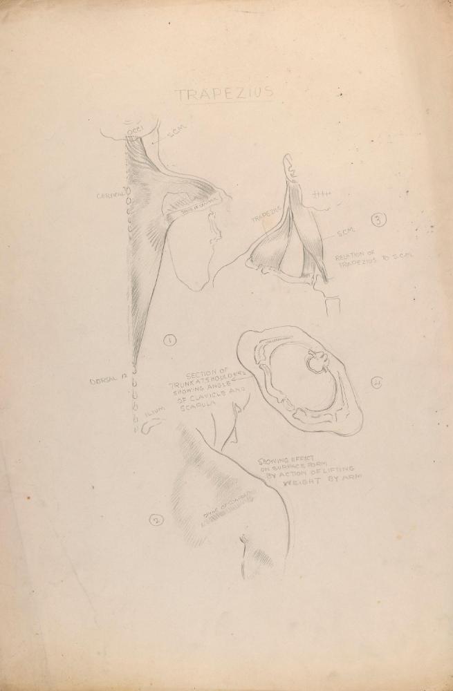 © The Estate of James Sleator