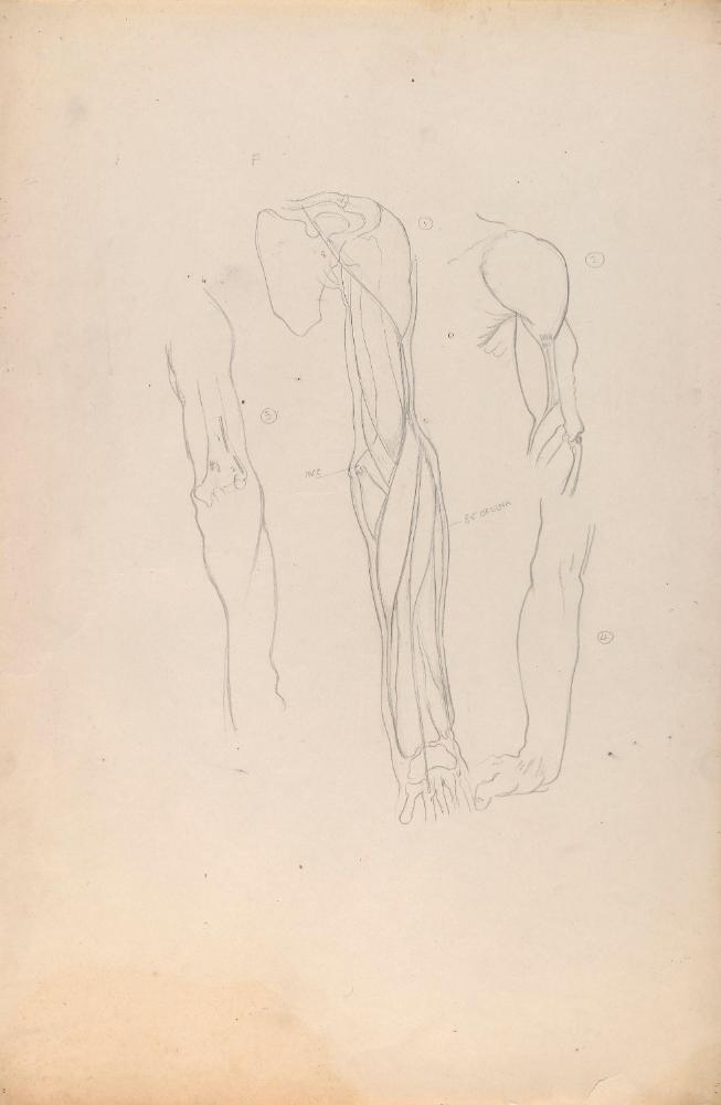 © The Estate of James Sleator