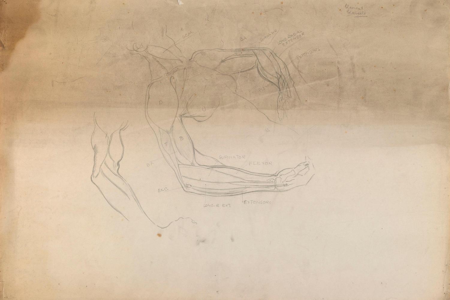 © The Estate of James Sleator