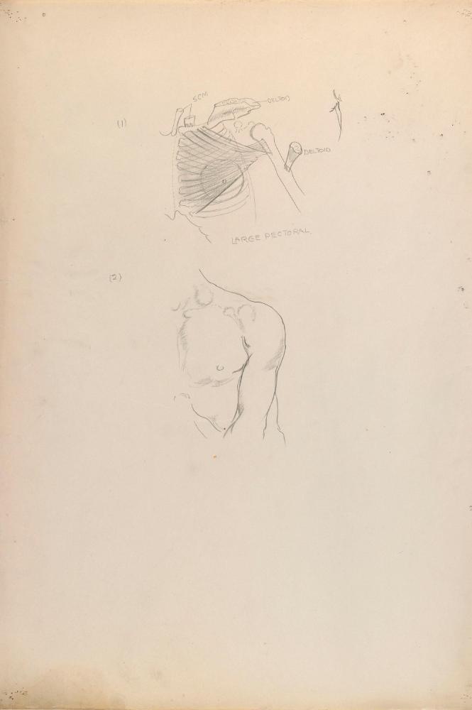 © The Estate of James Sleator