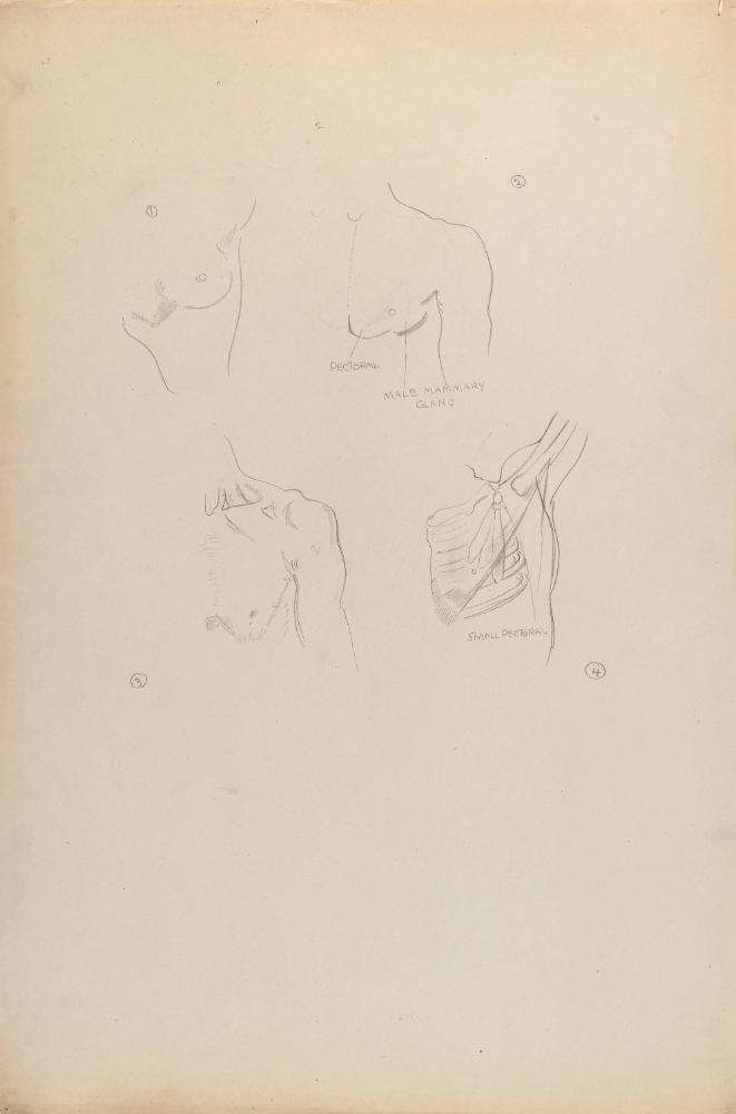 © The Estate of James Sleator