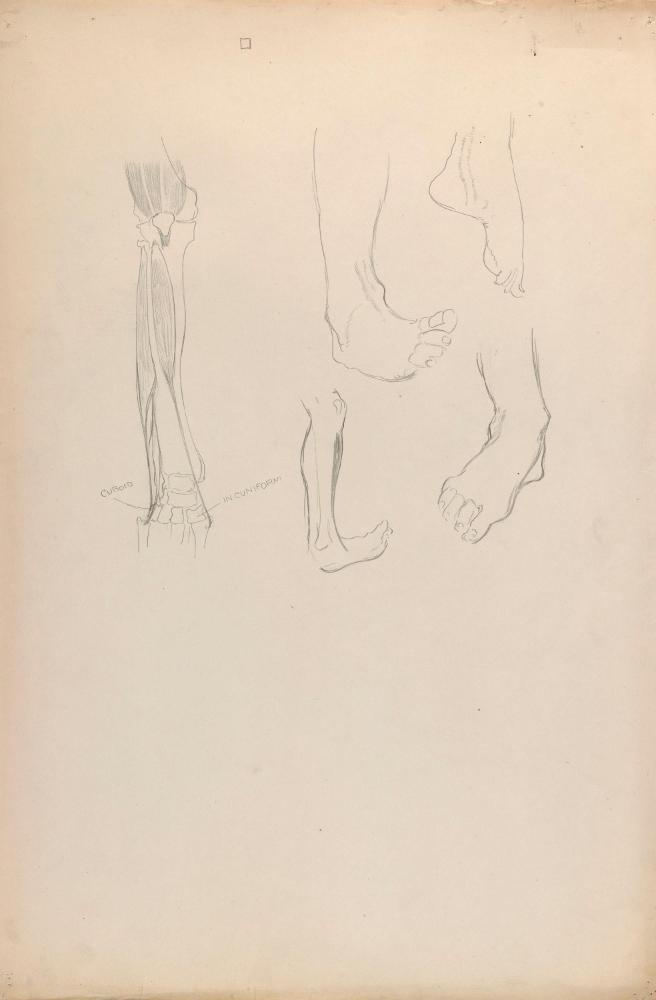 © The Estate of James Sleator