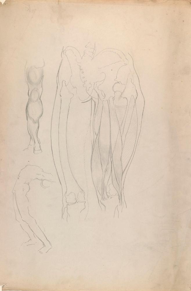 © The Estate of James Sleator