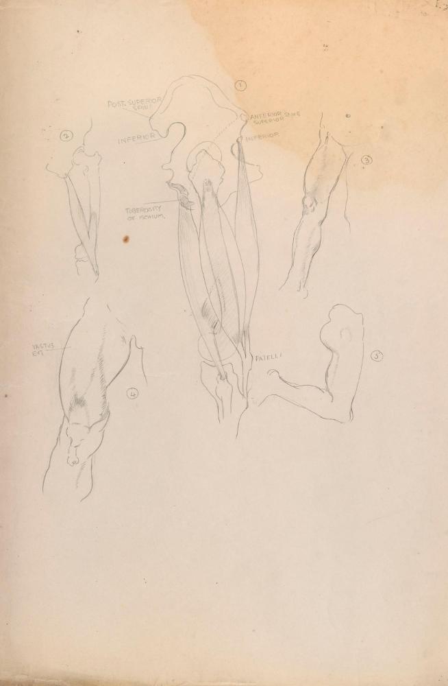 © The Estate of James Sleator