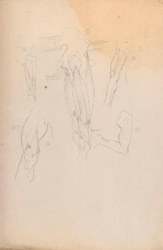 © The Estate of James Sleator