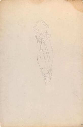 © The Estate of James Sleator