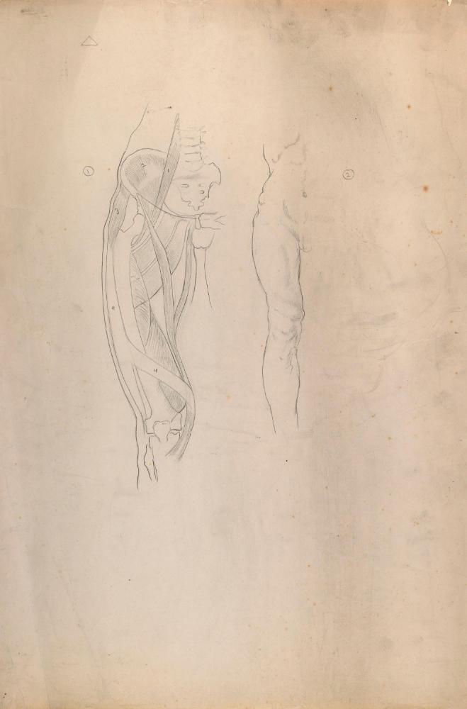 © The Estate of James Sleator