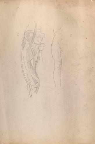 © The Estate of James Sleator