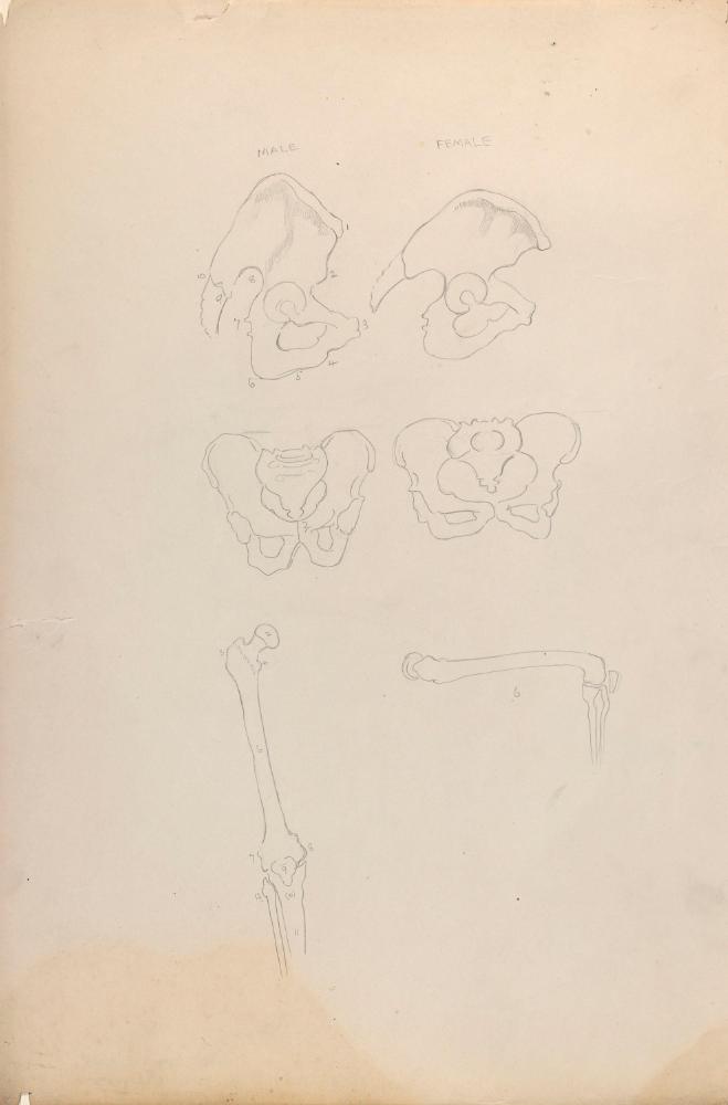 © The Estate of James Sleator