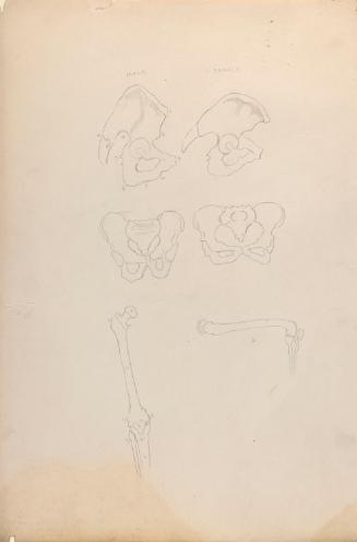 © The Estate of James Sleator