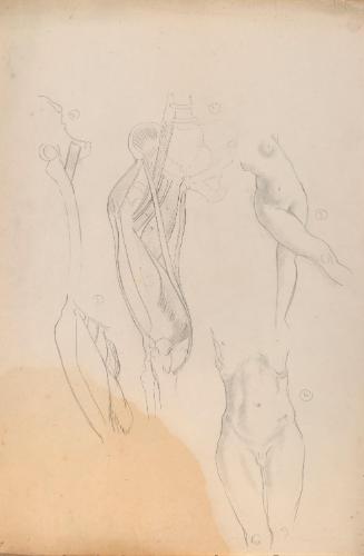 © The Estate of James Sleator