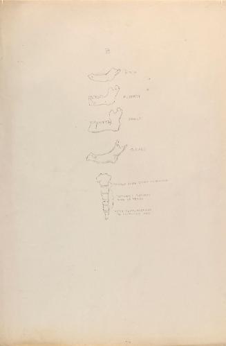 © The Estate of James Sleator