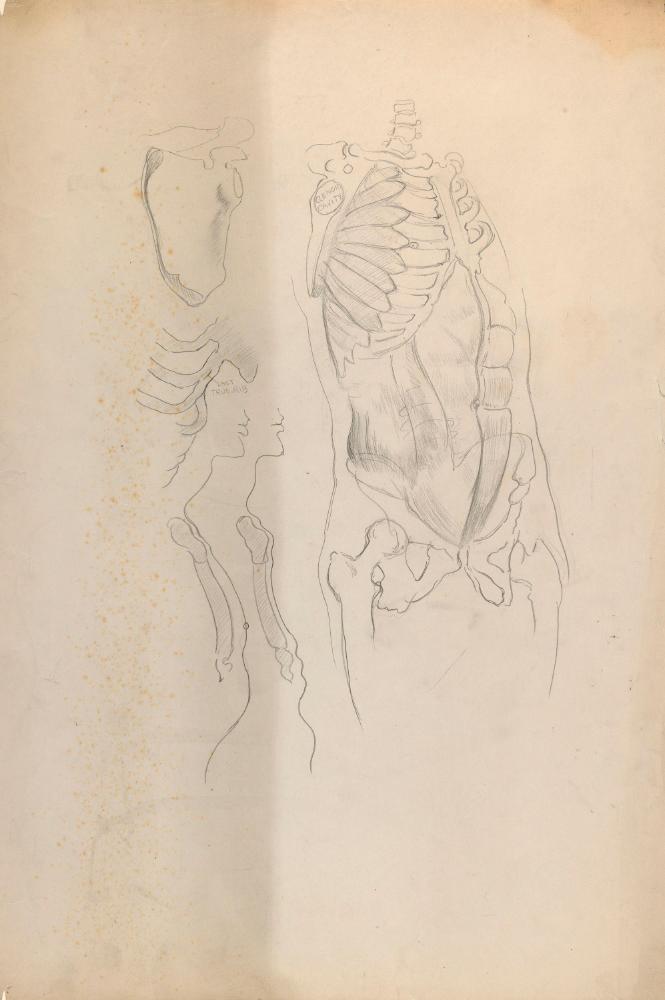 © The Estate of James Sleator