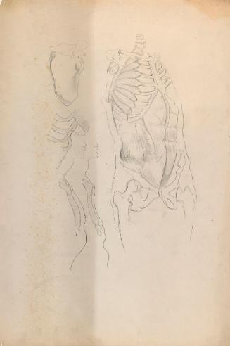 © The Estate of James Sleator