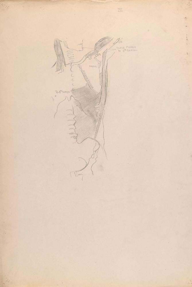 © The Estate of James Sleator