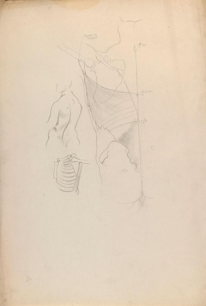 © The Estate of James Sleator